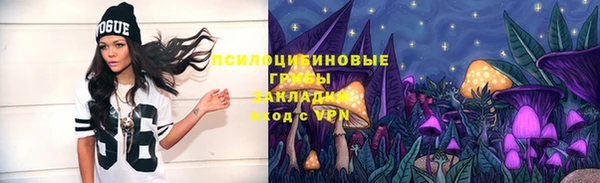 хмурый Куйбышев